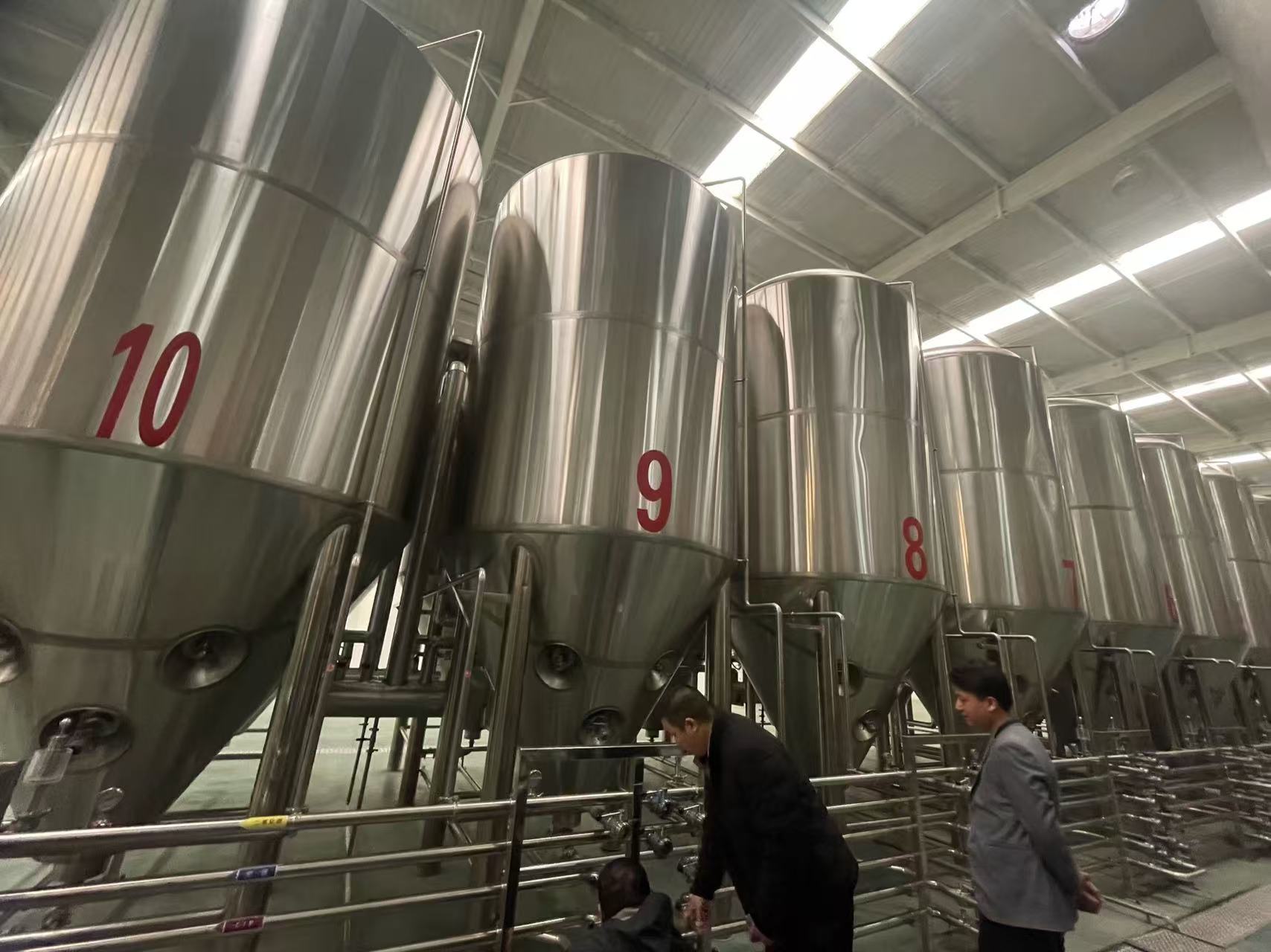 托里精酿啤酒设备厂—平面布置、设备设计、制造、调试、培训等一条龙服务